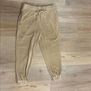 Express medium velour joggers pecan